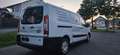 Fiat Scudo 12 L2H1 SX Klima Weiß - thumbnail 8