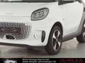 smart forTwo Fortwo Cabrio EQ EXCLUSIVE*22KW*WINTER Passion White - thumbnail 7