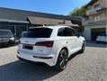 Audi Q5 Q5 40 TDI quattro S tronic S line - thumbnail 6