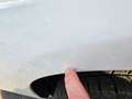 Ford Transit /Tourneo Custom Kombi 320 L2 - thumbnail 29
