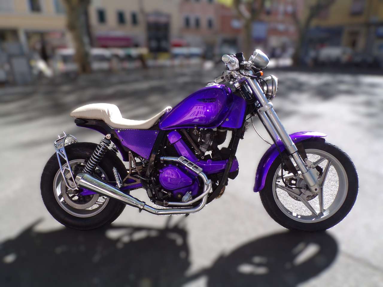 Ducati Indiana Freestyle - PLURIPREMIATA