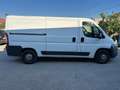 Fiat Ducato 33 2.3 MJT PM-TN Furgone Bianco - thumbnail 7