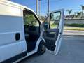 Fiat Ducato 33 2.3 MJT PM-TN Furgone Blanc - thumbnail 17