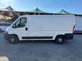 Fiat Ducato 33 2.3 MJT PM-TN Furgone Bianco - thumbnail 3