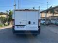Fiat Ducato 33 2.3 MJT PM-TN Furgone Bianco - thumbnail 5