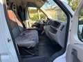 Fiat Ducato 33 2.3 MJT PM-TN Furgone Blanc - thumbnail 19