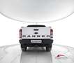 Ford Ranger Ranger 2.0 ECOBLUE aut. 213 CV DC Wildtrak 5 posti Bianco - thumbnail 6