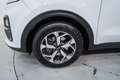 Kia Sportage 1.6 MHEV Business DCT 4x2 136 Blanco - thumbnail 11