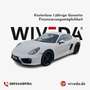 Porsche Cayman Basis NAVI~XENON~LEDER~47600KM~ Weiß - thumbnail 1