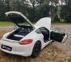 Porsche Cayman Basis NAVI~XENON~LEDER~47600KM~ Weiß - thumbnail 17