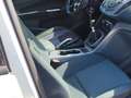 Ford Grand C-Max 1.0 Ecoboost Auto-S&S Trend 125 Blanco - thumbnail 15
