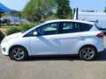 Ford Grand C-Max 1.0 Ecoboost Auto-S&S Trend 125 Blanco - thumbnail 9