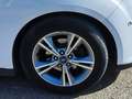 Ford Grand C-Max 1.0 Ecoboost Auto-S&S Trend 125 Blanco - thumbnail 18