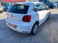 Volkswagen Polo 1.4 TDI 5p. Trendline Blanc - thumbnail 5