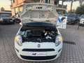 Fiat Punto Punto 5p 1.2 Street E6 Ok neopatentati Blanc - thumbnail 16