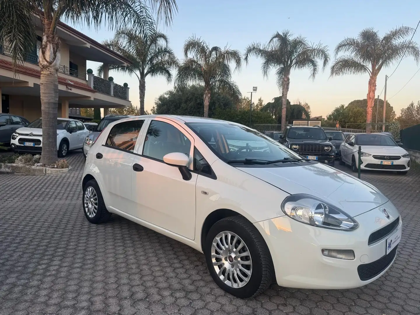 Fiat Punto Punto 5p 1.2 Street E6 Ok neopatentati Blanc - 2
