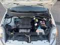 Fiat Punto Punto 5p 1.2 Street E6 Ok neopatentati Blanc - thumbnail 17