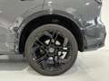 Volkswagen Tiguan 2.0TDI R-Line 4Motion DSG 142kW Gris - thumbnail 29