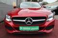 Mercedes-Benz C 200 COUPE AUTOMATIK NAVI KAMERA PDC ALU Rouge - thumbnail 11