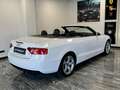 Audi A5 CABRIO 2.0 TDI 177 CV AUTOMATICA Wit - thumbnail 6