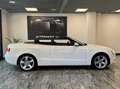 Audi A5 CABRIO 2.0 TDI 177 CV AUTOMATICA Wit - thumbnail 5