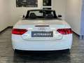 Audi A5 CABRIO 2.0 TDI 177 CV AUTOMATICA Wit - thumbnail 7