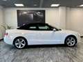 Audi A5 CABRIO 2.0 TDI 177 CV AUTOMATICA Wit - thumbnail 13