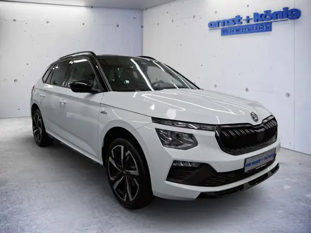 Skoda Kamiq view 2