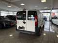 Fiat Doblo 1.3 JTD SX Kasten Unfallfrei! Weiß - thumbnail 6