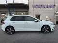 Volkswagen Golf VIII Lim. GTE eHybrid IQLight/Kamera Weiß - thumbnail 5