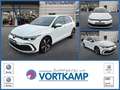 Volkswagen Golf VIII Lim. GTE eHybrid IQLight/Kamera Weiß - thumbnail 1