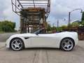 Alfa Romeo 8C Einmaliges Duo 8C Spider und MiTo Edition Maserati Білий - thumbnail 2