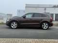 Audi Q5 2.0 TDI S line *ACC*Pano*Xenon*Navi*PDC*SHZ* Braun - thumbnail 5