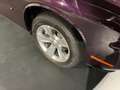 Dodge Challenger SXT RWD 3.6 V6 Burdeos - thumbnail 7