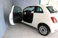 Fiat 500 1.0 HYBRID 70CV DOLCEVITA Wit - thumbnail 5