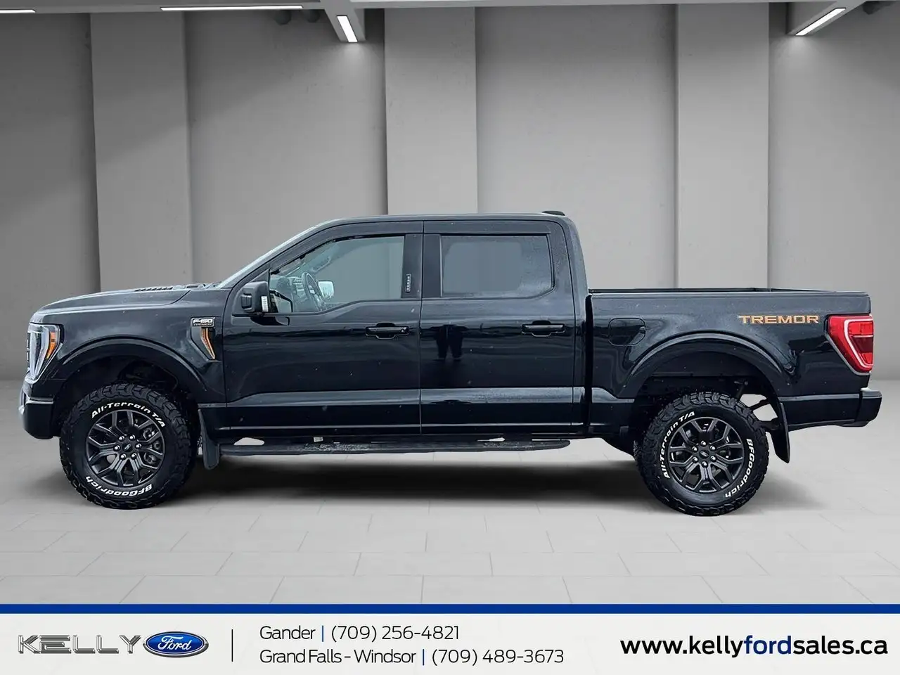 Ford F 150 fotografie Ford F 150