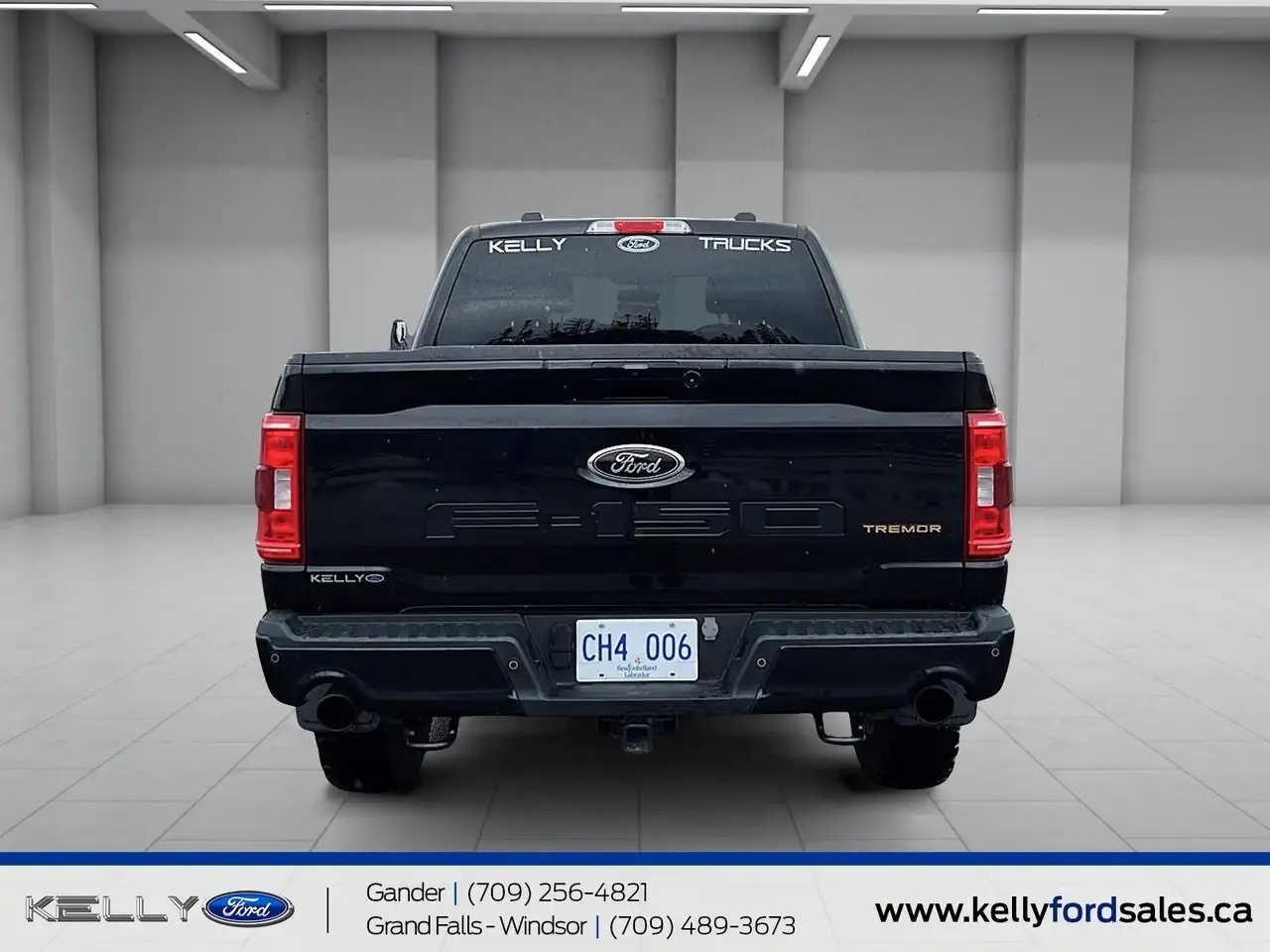 Ford F 150 fotografie Ford F 150