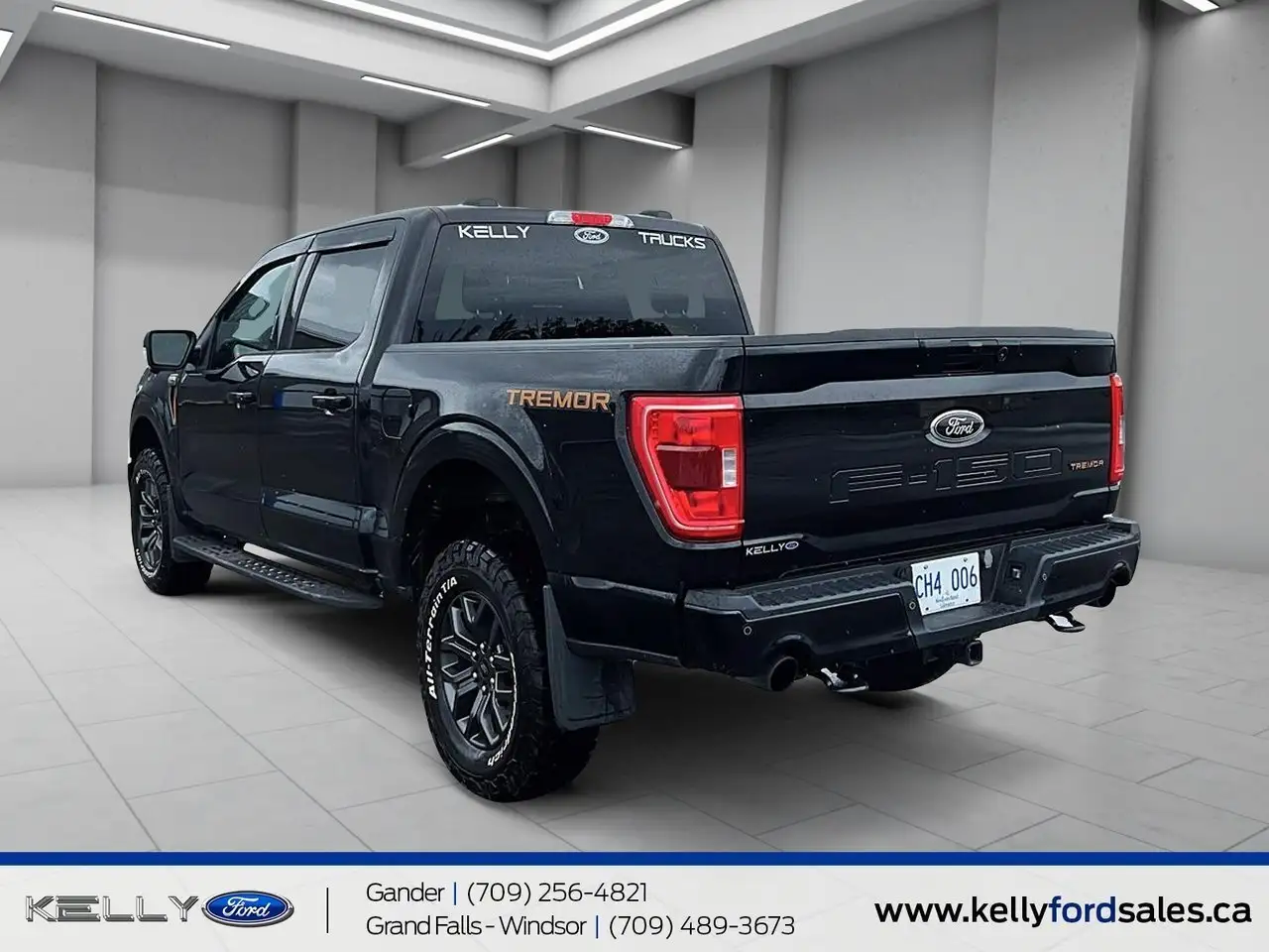 Ford F 150 fotografie Ford F 150