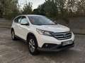 Honda CR-V 1.6i-DTEC Comfort 4x2 Blanco - thumbnail 3