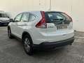 Honda CR-V 1.6i-DTEC Comfort 4x2 Blanco - thumbnail 6