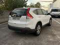 Honda CR-V 1.6i-DTEC Comfort 4x2 Blanco - thumbnail 4
