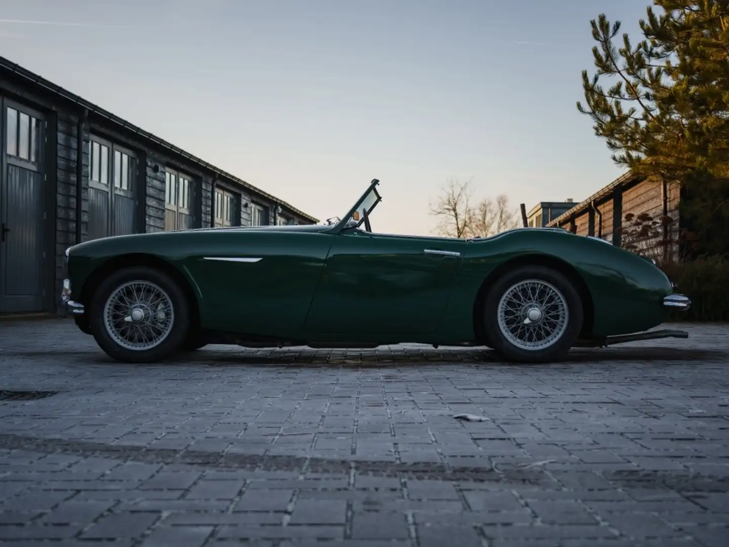 Austin-Healey 3000 BT7 MK1 Grün - 2