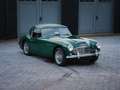 Austin-Healey 3000 BT7 MK1 Grün - thumbnail 3