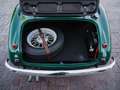 Austin-Healey 3000 BT7 MK1 Grün - thumbnail 15