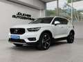 Volvo XC40 Aut., Inspektion Neu , Panoramadach Weiß - thumbnail 4