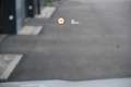 BMW X2 sDrive 16d Aut. M Sport adapt. LED, HeadUp, Nav... Weiß - thumbnail 6