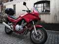 Yamaha XJ 900 Rot - thumbnail 1