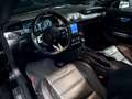 Ford Mustang (6) MALUS INCLUS - Fastback V8 BVA10 MUSTANG55 Wolf Edition - thumbnail 10