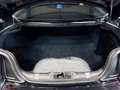 Ford Mustang (6) MALUS INCLUS - Fastback V8 BVA10 MUSTANG55 Wolf Edition - thumbnail 27