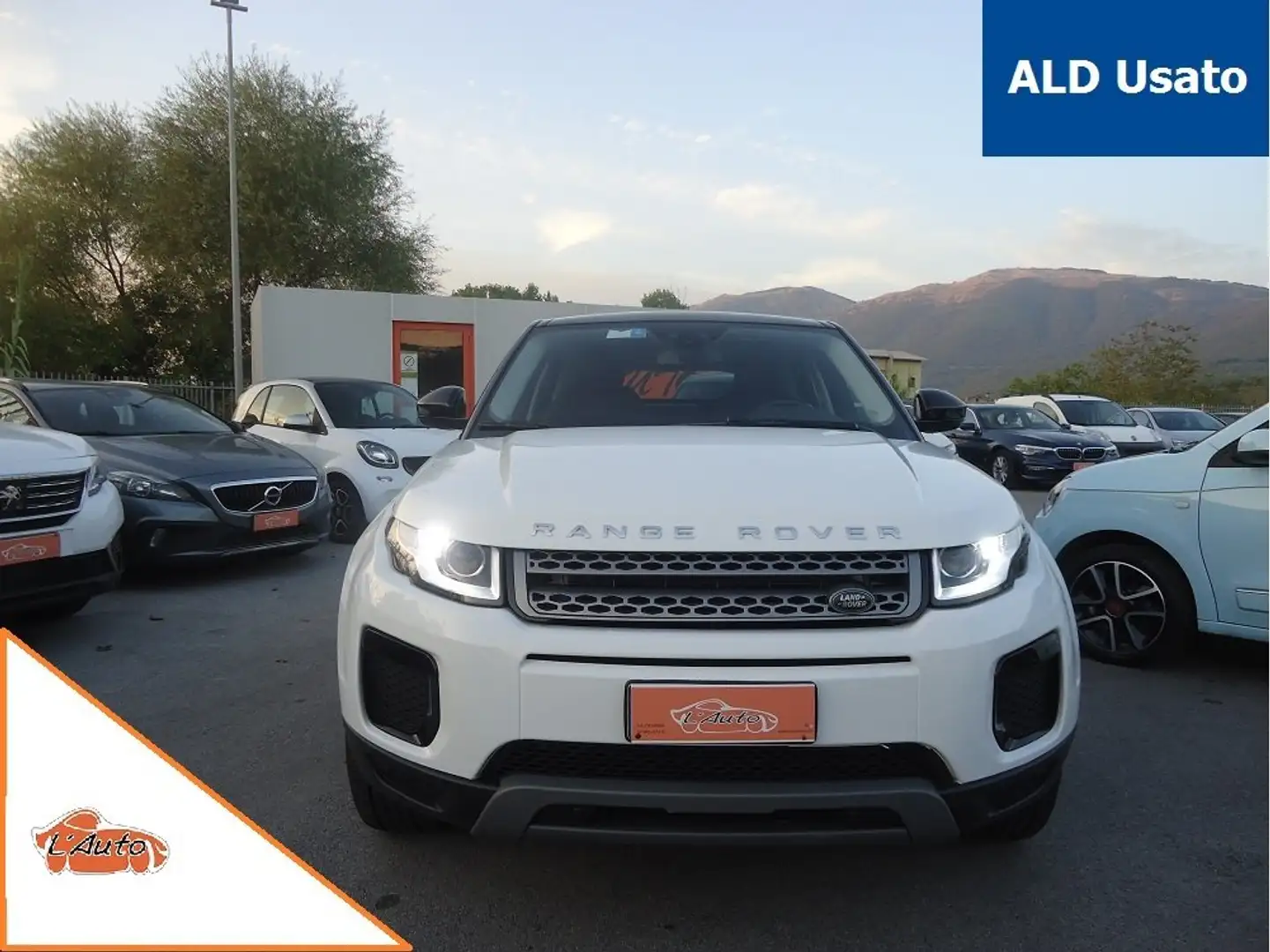 Land Rover Range Rover Evoque 5p 2.0 td4 Pure Business edition 180cv auto Bianco - 2